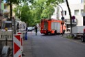 Einsatz BF Baum umgestuerzt Koeln Kalk Eythstr P26